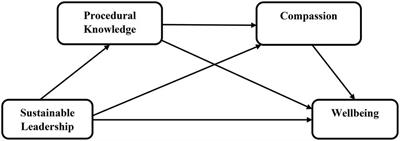 Sustainable leadership and wellbeing of healthcare personnel: A sequential mediation model of procedural knowledge and compassion